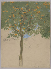 Orange tree; Hans Thoma (1839–1924), draughtsman; former German property; German drawing; Sorrento