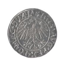 Lithuanian half-grosz, Sigismund II Augustus (King of Poland; 1544–1572), good condition, R3