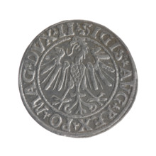 Lithuanian half-grosz, Sigismund II Augustus (King of Poland; 1544–1572), very good condition,