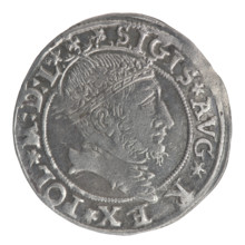 Lithuanian grosz per Lithuanian foot, Sigismund II Augustus (King of Poland; 1544–1572); coats of