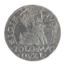 Lithuanian grosz on a Polish foot, Myszkowski, Stanislaw (?-1570); Sigismund II Augustus (King of