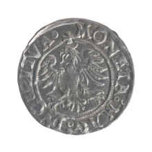 Lithuanian half-grosz, Sigismund II Augustus (King of Poland; 1544–1572), good condition; obverse:
