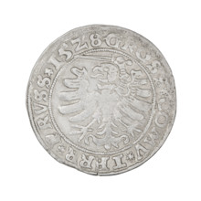 Prussian grosz, Sigismund I the Old (King of Poland; 1506–1548); 1528; Torun, Poland. Obv.: Crowned