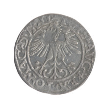 Lithuanian half-grosz, Sigismund II Augustus (King of Poland; 1544–1572); coats of arms; Jagiellon