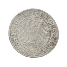 Prussian grosz, Sigismund I the Old (King of Poland; 1506–1548). Obverse: Crowned male bust in