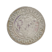 Prussian grosz, Sigismund I the Old (King of Poland; 1506–1548). Obverse: Crowned male bust in