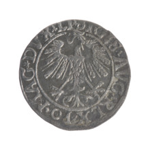 Lithuanian half-grosz, Sigismund II Augustus (King of Poland; 1544–1572). Obverse: Polish eagle; in
