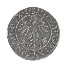 Lithuanian half-grosz, Sigismund II Augustus (King of Poland; 1544–1572). Obverse: Polish Eagle; in