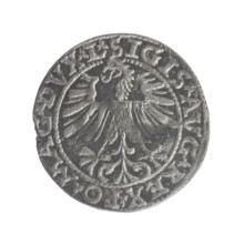 Lithuanian half-grosz, Sigismund II Augustus (King of Poland; 1544–1572). Obverse: Polish eagle; in