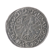 Lithuanian half-grosz, Sigismund II Augustus (King of Poland; 1544–1572). Obverse: Polish eagle, in