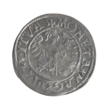 Lithuanian half-grosz, Sigismund II Augustus (King of Poland; 1544–1572). Obverse: Lithuanian
