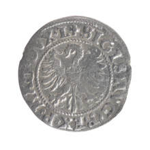 Lithuanian half-grosz, Sigismund II Augustus (King of Poland; 1544–1572). Obverse: Polish Eagle; in