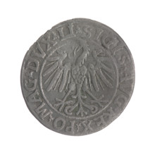 Lithuanian half-grosz, Sigismund II Augustus (King of Poland; 1544–1572); obverse: Polish Eagle