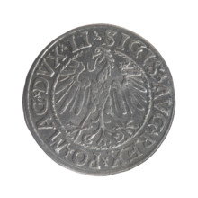 Lithuanian half-grosz, Sigismund II Augustus (King of Poland; 1544–1572). Obverse: Polish Eagle; in