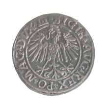 Lithuanian half-grosz, Sigismund II Augustus (King of Poland; 1544–1572). Obverse: Polish Eagle; in