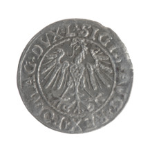 Lithuanian half-grosz, Sigismund II Augustus (King of Poland; 1544–1572). Obverse: Polish eagle; in