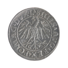 Lithuanian half-grosz, Sigismund II Augustus (King of Poland; 1544–1572). Obverse: Polish Eagle; in