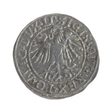 Lithuanian half-grosz, Sigismund II Augustus (King of Poland; 1544–1572). Obverse: Polish Eagle; in
