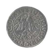 Lithuanian half-grosz, Sigismund II Augustus (King of Poland; 1544–1572). Obverse: Polish eagle; in