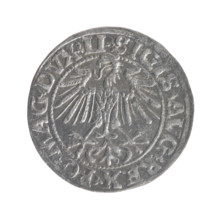 Lithuanian half-grosz, Sigismund II Augustus (King of Poland; 1544–1572). Obverse: Polish Eagle; in