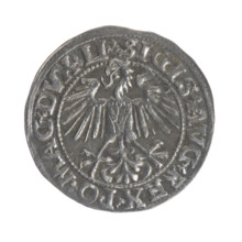 Lithuanian half-grosz, Sigismund II Augustus (King of Poland; 1544–1572); obverse: Polish Eagle