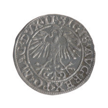Lithuanian half-grosz, Sigismund II Augustus (King of Poland; 1544–1572). Obverse: Polish eagle; in
