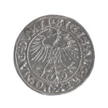 Lithuanian half-grosz, Sigismund II Augustus (King of Poland; 1544–1572). Obverse: Polish Eagle; in