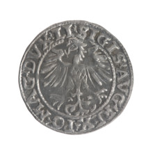 Lithuanian half-grosz, Sigismund II Augustus (King of Poland; 1544–1572). Obverse: Polish eagle; in