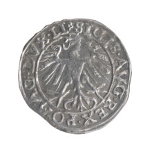 Lithuanian half-grosz, Sigismund II Augustus (King of Poland; 1544–1572). Obverse: Polish Eagle; in