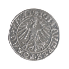 Lithuanian half-grosz, Sigismund II Augustus (King of Poland; 1544–1572). Obverse: Polish Eagle; in