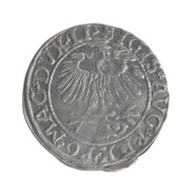 Lithuanian half-grosz, Sigismund II Augustus (King of Poland; 1544–1572); obverse: Polish Eagle