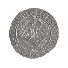 Lithuanian half-grosz, Sigismund II Augustus (King of Poland; 1544–1572). Obverse: Polish Eagle; in