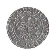 Lithuanian half-grosz, Sigismund II Augustus (King of Poland; 1544–1572). Obverse: Polish Eagle; in