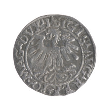 Lithuanian half-grosz, Sigismund II Augustus (King of Poland; 1544–1572); obv.: Polish Eagle, in