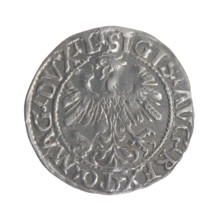 Lithuanian half-grosz, Sigismund II Augustus (King of Poland; 1544–1572). Obverse: Polish Eagle; in