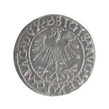Lithuanian half-grosz, Sigismund II Augustus (King of Poland; 1544–1572). Obverse: Polish eagle; in