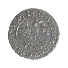 Lithuanian half-grosz, Sigismund II Augustus (King of Poland; 1544–1572). Obverse: Polish eagle; in