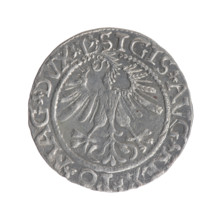 Lithuanian half-grosz, Sigismund II Augustus (King of Poland; 1544–1572). Obverse: Polish eagle; in