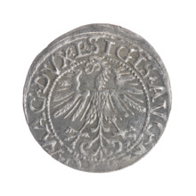 Lithuanian half-grosz, Sigismund II Augustus (King of Poland; 1544–1572). Obverse: Polish Eagle; in