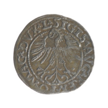 Lithuanian half-grosz, Sigismund II Augustus (King of Poland; 1544–1572). Obverse: Polish Eagle; in