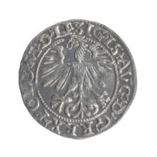 Lithuanian half-grosz, Sigismund II Augustus (King of Poland; 1544–1572). Obverse: Polish Eagle; in