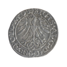 Lithuanian half-grosz, Sigismund II Augustus (King of Poland; 1544–1572); maker: Gabriel Tarlo (ca.