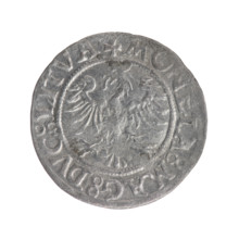 Lithuanian half-grosz, Sigismund II Augustus (King of Poland; 1544–1572). Obverse: Lithuanian Pogon