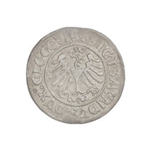 Glogów grosz, Sigismund I the Old (King of Poland; 1506–1548), horses, eagles, Pogon (coat of