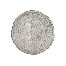 Glogów grosz, Sigismund I the Old (King of Poland; 1506–1548). Obverse: Pogon (coat of arms).