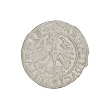 Lithuanian half-grosz, Sigismund I the Old (King of Poland; 1506–1548). Obverse: Pogon (Lithuanian