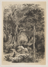 The Interior of the Indian Jungle, EAS (Russian lithographer; fl. ca. 1850–1870). The view shows