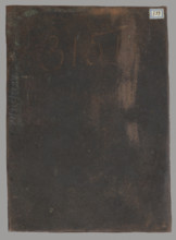 Floral ornament, graphic artist, Lohojsk; Tyszkiewicz, Konstanty (1806–1868). Possibly a matrix for