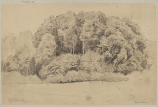 Trees in St. Blasien; Hans Thoma (1839–1924), draughtsman; trees, landscape of St. Blasien
