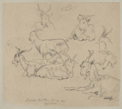 Goat studies; Hans Thoma (1839–1924), illustrator; subject: animals—goats; location depicted: Ponte